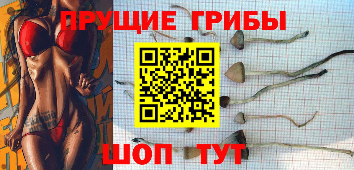 Псилоцибиновые грибы Cubensis  Вход с VPN  Галлюциногенные грибы Psilocybe  Тольятти 